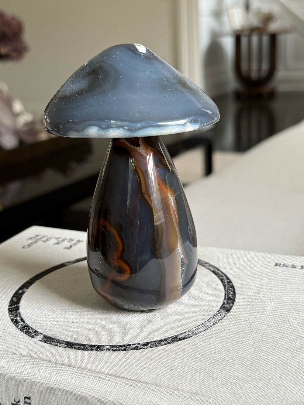 Natural Dark Gray and Brown Agate Mushroom Natural Decor